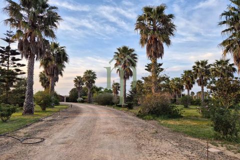 Villa i Mesagne, Brindisi, Mesagne - € 365.000 | Ref: Villa Palme - foto 3